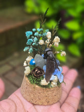 Load image into Gallery viewer, Horse Fly Jar 🩵