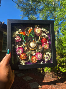 Citrus Solstice ✨️