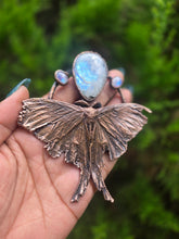 Load image into Gallery viewer, REAL Luna Moth with Rainbow Moonstone