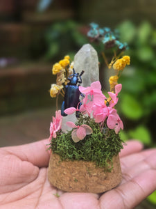 Blue Frog Legged Beetle Jar