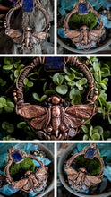Load image into Gallery viewer, Lapis Lazuli Cicada Sequence Collab