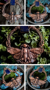 Lapis Lazuli Cicada Sequence Collab