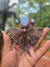 Load image into Gallery viewer, REAL Luna Moth with Rainbow Moonstone
