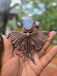 REAL Luna Moth with Rainbow Moonstone