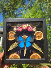 Load image into Gallery viewer, Wings of Revival