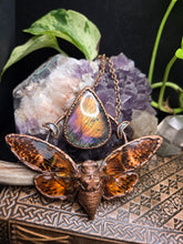 Load image into Gallery viewer, REAL Cicada w Labradorite