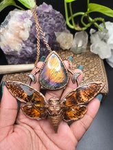 Load image into Gallery viewer, REAL Cicada w Labradorite