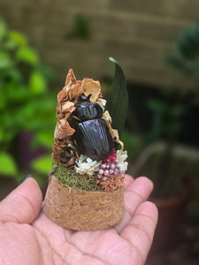 Dung Beetle Jar 🖤