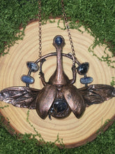 Load image into Gallery viewer, Real Rhinoceros Beetle w Piertersite &amp; Blue Kyanite
