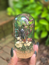 Load image into Gallery viewer, Rainbow Jewel Beetle Jar