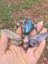Load image into Gallery viewer, Moss Indigo Kyanite &amp; Moonstone Cicada
