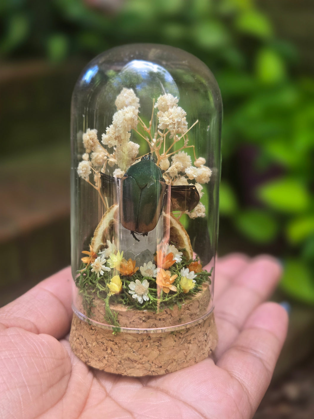 Green June Beetle Jar 🤎