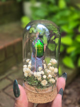 Load image into Gallery viewer, Scarab Beetle Jar 💚