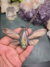 Load image into Gallery viewer, Labradorite Cicada Wings