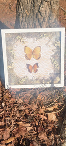 Framed Butterfly w Quartz