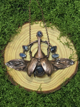 Load image into Gallery viewer, Real Rhinoceros Beetle w Piertersite &amp; Blue Kyanite