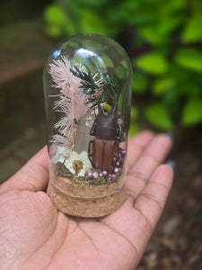 Stag Beetle Jar 🩷