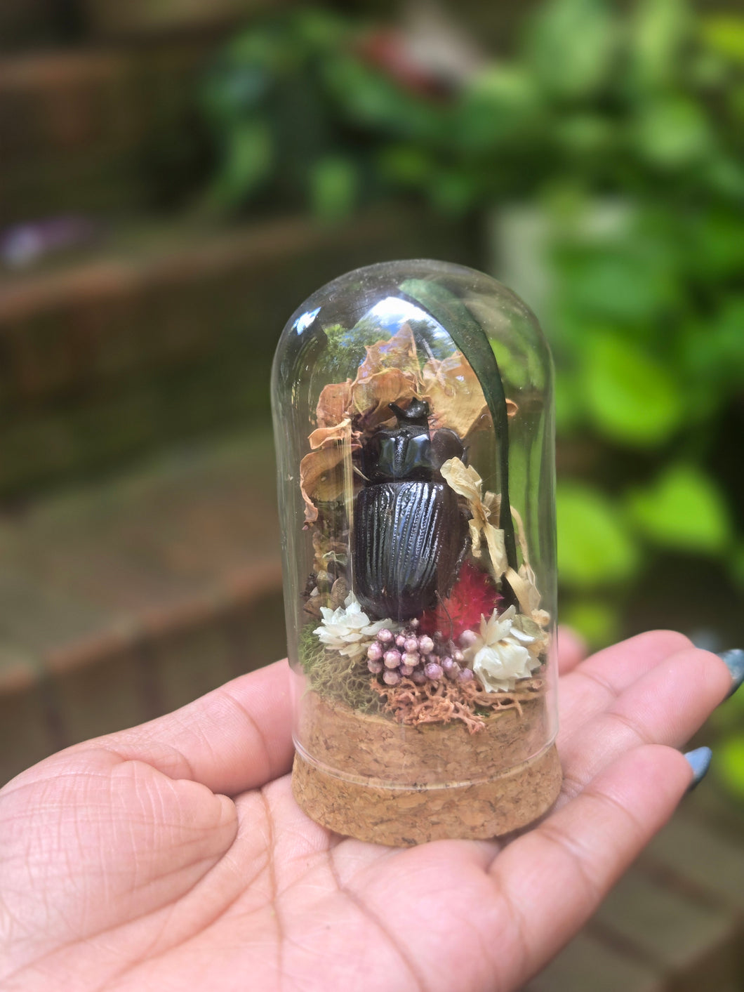 Dung Beetle Jar 🖤