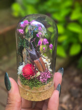 Load image into Gallery viewer, Stag Beetle Jar 💜