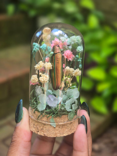 Jewel Beetle Jar 🩵